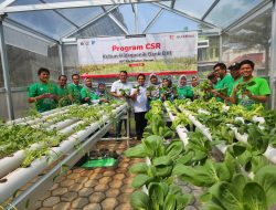 Komitmen Pembangunan Berkelanjutan, Bank DKI Resmikan Kebun Hidroponik RPTRA Cibubur