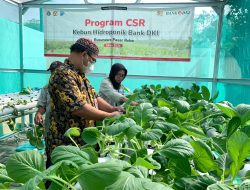 Sukses, Program JAKONIK Bawa Bank DKI Raih Penghargaan Anugerah ESG 2024 IDX Channel 